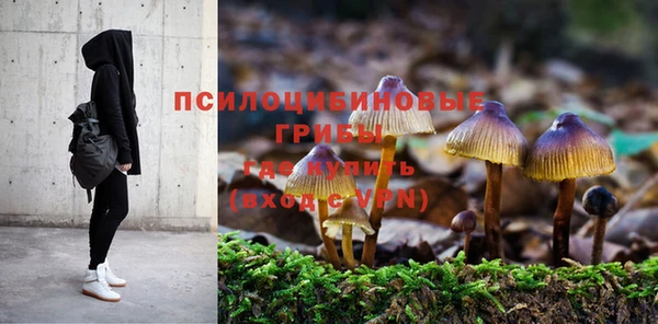 стаф Бугульма